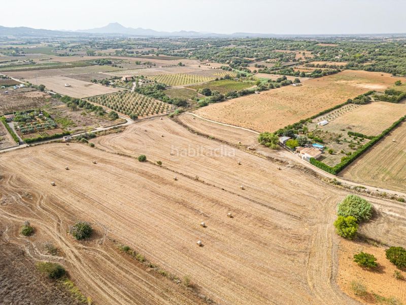 Foto c298ba4f-a509-4c3d-9ef1-9985c79ed895. Finca rústica a Manacor centre Manacor