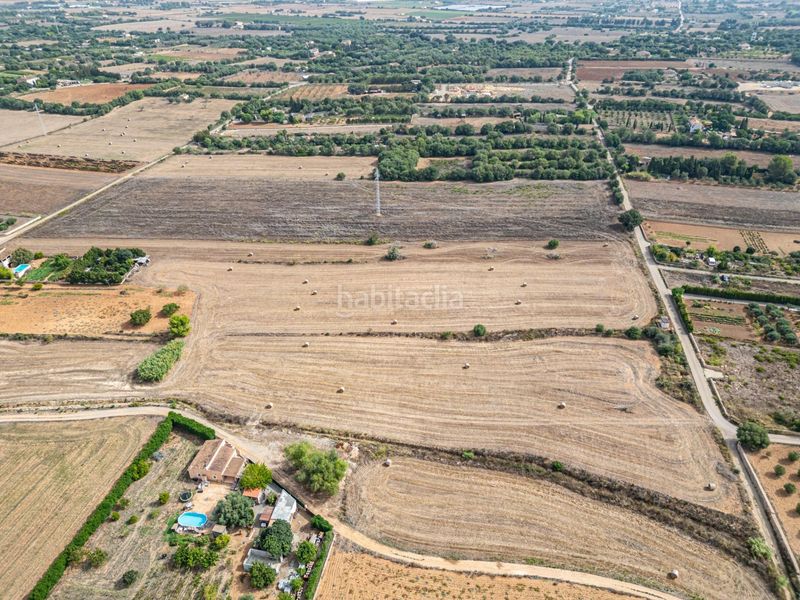 Foto d94c64e2-79eb-490b-901d-b05f8a4dd0b7. Finca rústica a Manacor centre Manacor