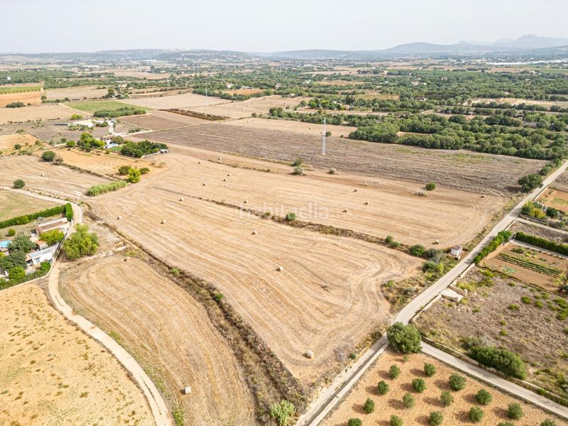Foto e1a523a7-f393-4a8e-ab9e-b6c69499cf94. Finca rústica a Manacor centre Manacor