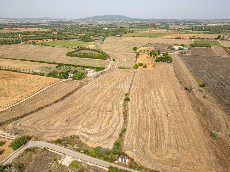 Foto e1d5cde7-d036-4cc5-9b1d-e41412e197c0. Finca rústica a Manacor centre Manacor