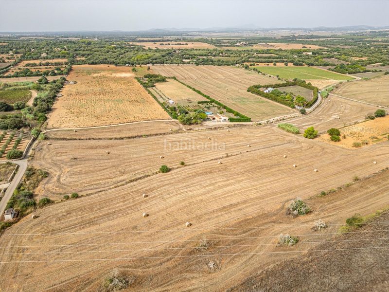Foto ef8cb6b3-1757-43d7-ae03-cacb2812fe76. Finca rústica a Manacor centre Manacor