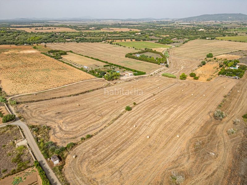 Foto fa126158-ec29-43c6-9c95-b92527348d56. Finca rústica a Manacor centre Manacor