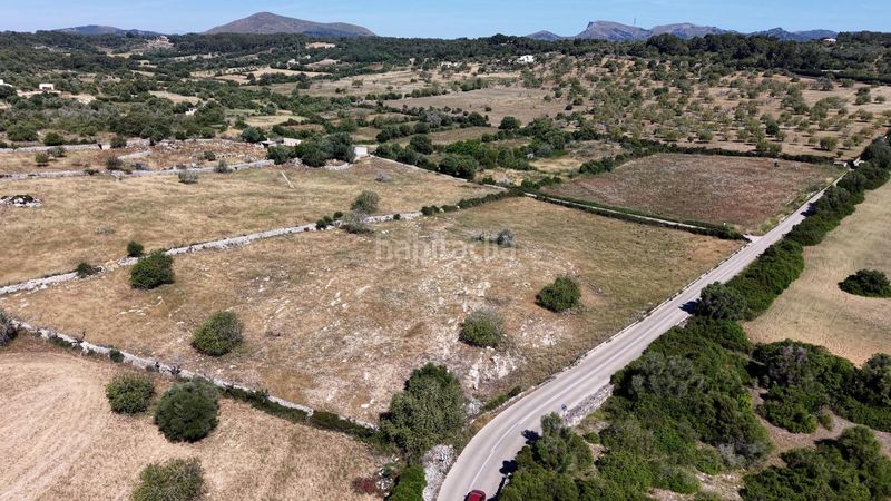 Foto 5d699892-e220-48a0-90bf-b9b2a33f4a04. Terreny residencial a carretera capdepera 3 a Son Servera poble Son Servera