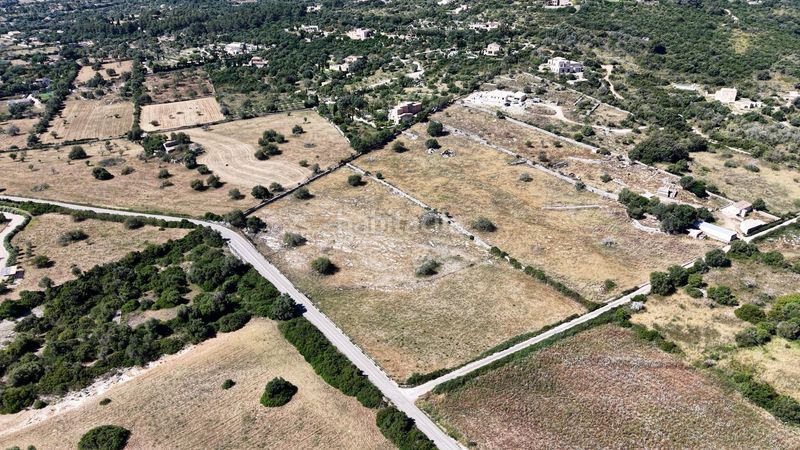 Foto a9e3b9c7-fedf-46a1-961d-8af5603fda7f. Terreny residencial a carretera capdepera 3 a Son Servera poble Son Servera