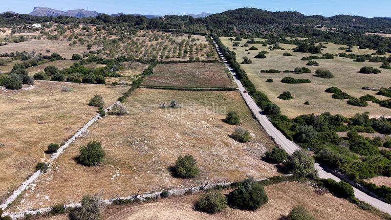 Foto d3c1ed15-9a0f-46ef-b2b6-9e6b1635f8f8. Terreny residencial a carretera capdepera 3 a Son Servera poble Son Servera