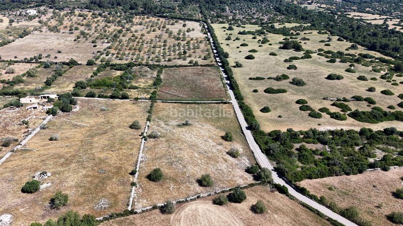 Foto dd805082-f882-47d7-81c9-932538b732dd. Terreny residencial a carretera capdepera 3 a Son Servera poble Son Servera