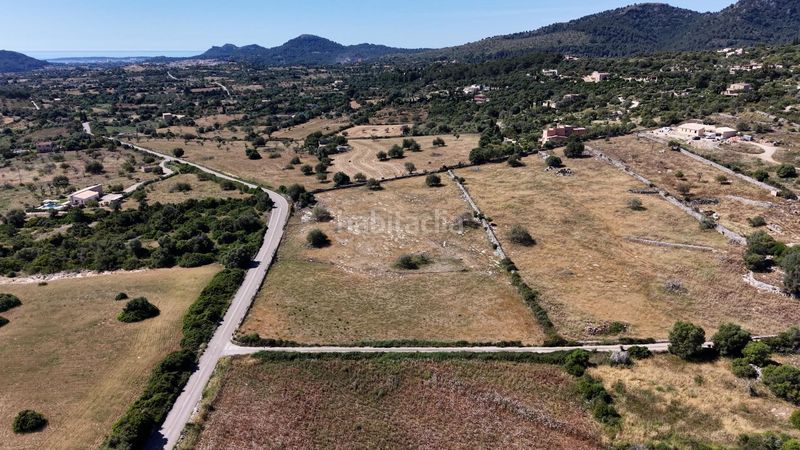 Foto f6513dca-6f81-4042-b1ef-99ead9be9850. Terreny residencial a carretera capdepera 3 a Son Servera poble Son Servera