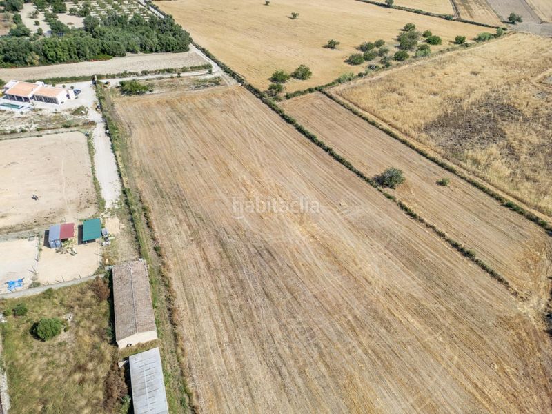 Foto 1d05a591-ac8c-4461-8a2d-7f121f64b652. Finca rústica terreno rústico edificable con pozo en Porreres