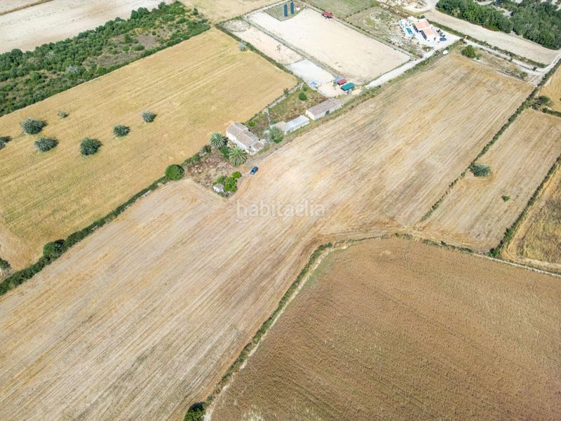 Foto 206a51eb-f63d-41e0-b7f3-036b54985b0a. Finca rústica terreno rústico edificable con pozo en Porreres