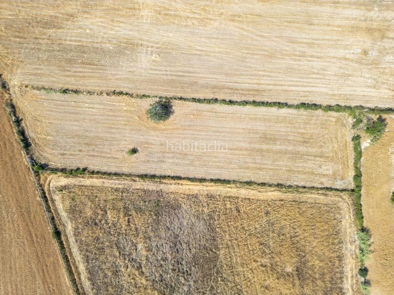 Foto 3a22dcae-79d7-4f15-85f8-e2cf54f5d780. Finca rústica terreno rústico edificable con pozo en Porreres