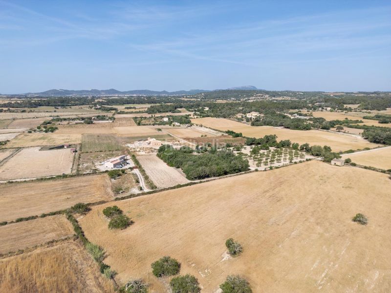 Foto 5a0d6bcf-68bb-4634-bcb5-21a1256d5370. Finca rústica terreno rústico edificable con pozo en Porreres