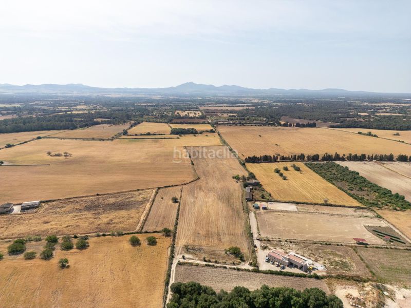 Foto 90d7c683-9257-49a3-81f4-3b7dea4d80e6. Finca rústica terreno rústico edificable con pozo en Porreres