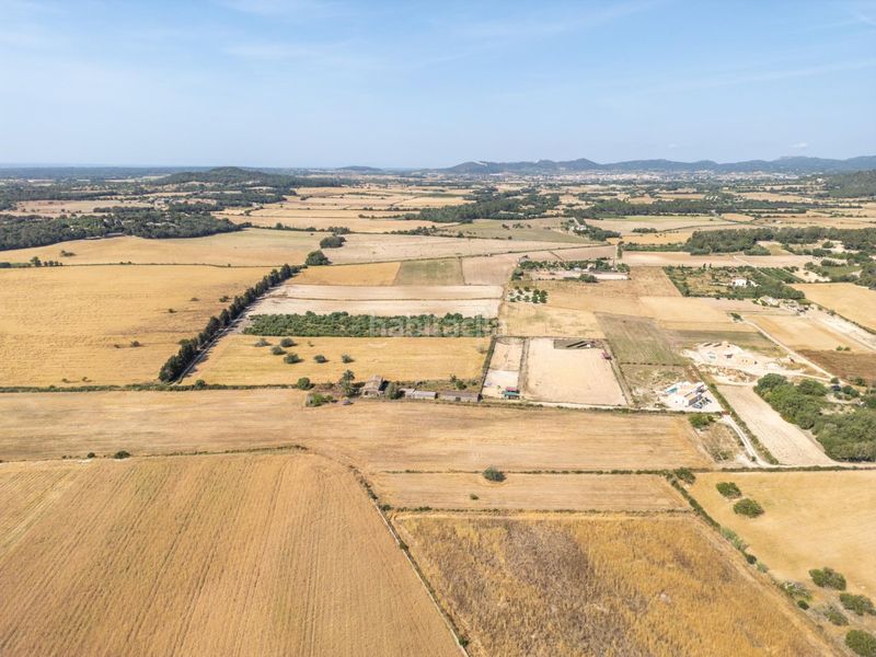 Foto b8666faa-c5f1-48ea-b053-b855fed0dbc7. Finca rústica terreno rústico edificable con pozo en Porreres