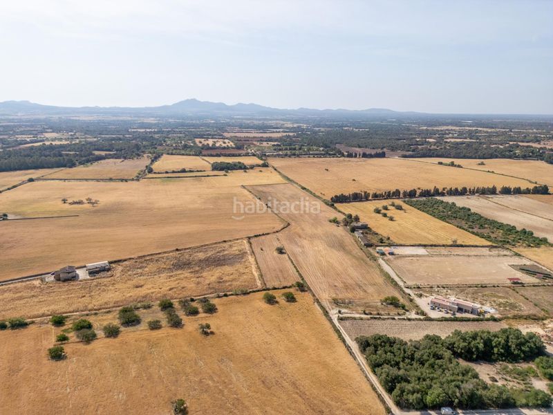 Foto bead82d4-cca6-4c87-b820-09208cbe03db. Finca rústica terreno rústico edificable con pozo en Porreres