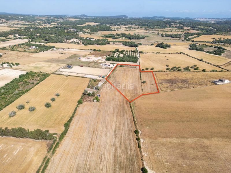 Foto c1e68097-9045-42ce-9ad0-61731873568b. Finca rústica terreno rústico edificable con pozo en Porreres