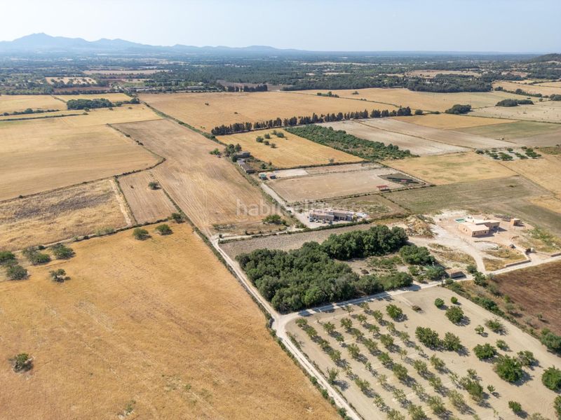 Foto d15c7b63-0813-4b84-a796-be000b559eb6. Finca rústica terreno rústico edificable con pozo en Porreres