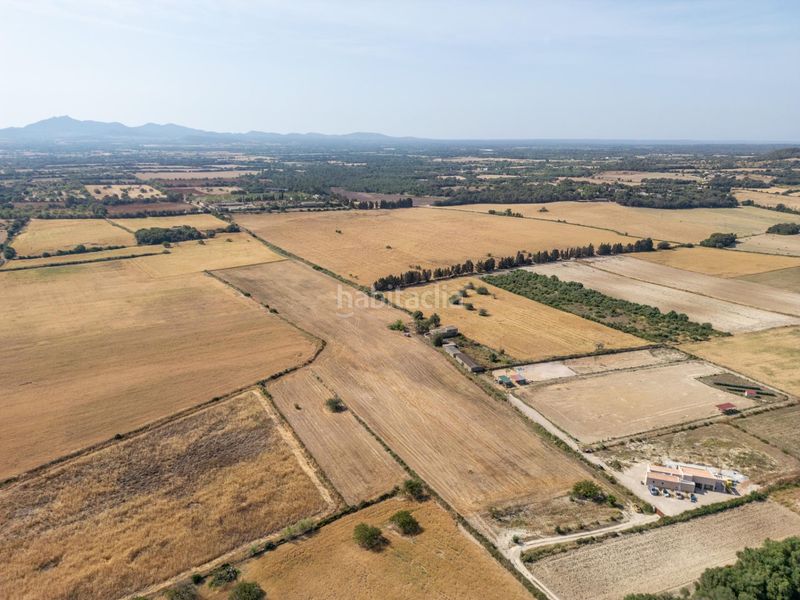 Foto f4b6df0b-4e6a-4ebe-b0c3-68d03bb370ae. Finca rústica terreno rústico edificable con pozo en Porreres