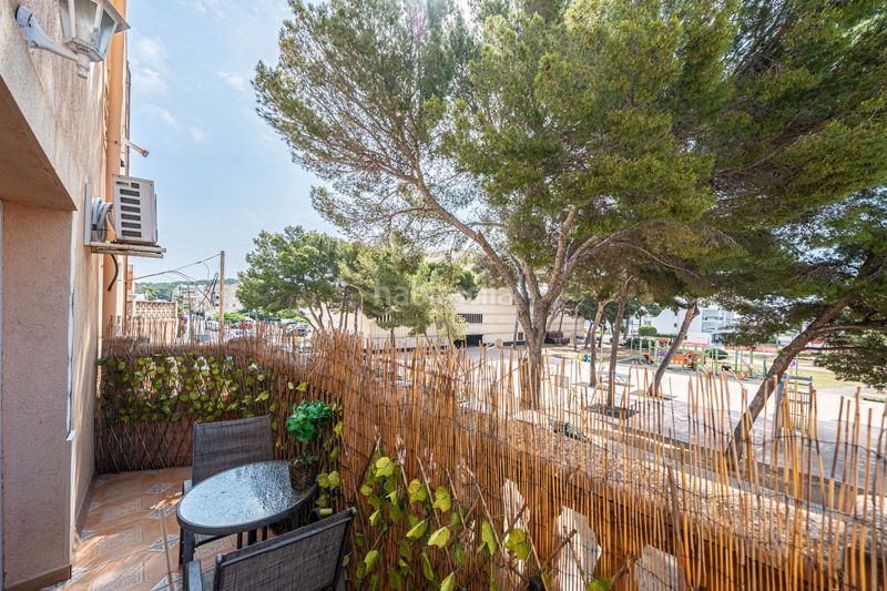Foto e9116f35-ffb4-453d-a09d-a5cc2059bdad. Pis a Cala Ratjada Capdepera