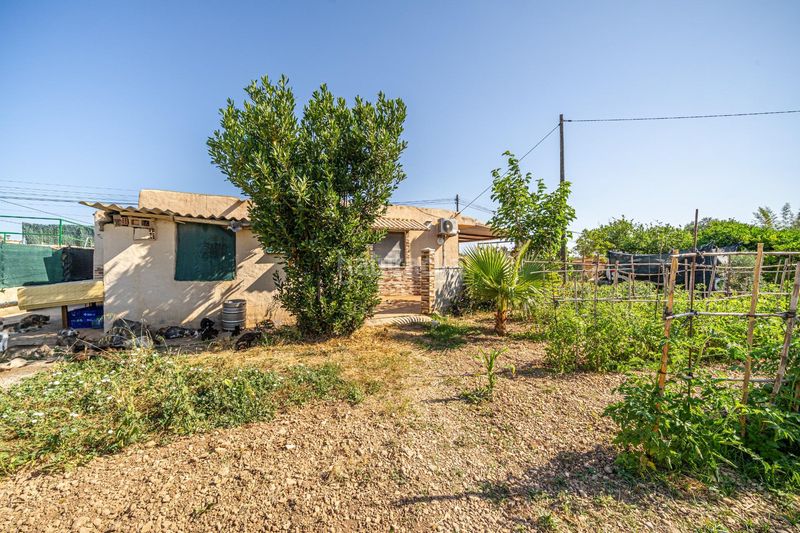Foto 47be020e-d382-411a-bc66-8267cb1d2d71. Masía finca rústica reformada con cédula, porche, piscina y huerto en Son Ferriol, palma en Palma de Mallorca