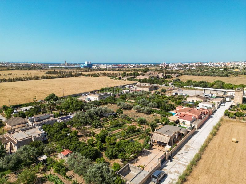 Foto 79ee52b1-8860-4fbe-b102-c3553484215d. Masía finca rústica reformada con cédula, porche, piscina y huerto en Son Ferriol, palma en Palma de Mallorca