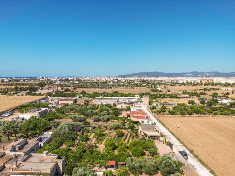 Foto c1fe0f68-1ba1-479f-8b72-a04d39e20fa1. Masía finca rústica reformada con cédula, porche, piscina y huerto en Son Ferriol, palma en Palma de Mallorca