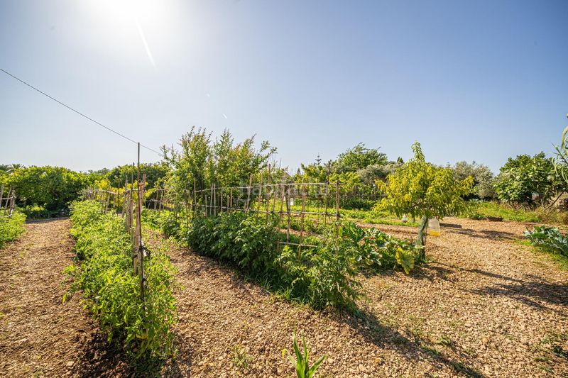 Foto d7188d35-6f8f-4fe1-8ac6-8ab86d6e1d56. Masía finca rústica reformada con cédula, porche, piscina y huerto en Son Ferriol, palma en Palma de Mallorca