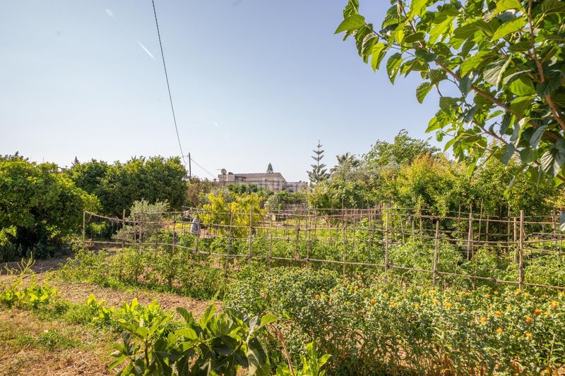 Foto e0ff3a50-cf9f-449b-9bf6-10dd25827794. Masía finca rústica reformada con cédula, porche, piscina y huerto en Son Ferriol, palma en Palma de Mallorca