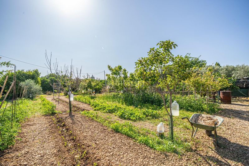 Foto ffd75fc9-c012-47af-949d-3db34be70508. Masía finca rústica reformada con cédula, porche, piscina y huerto en Son Ferriol, palma en Palma de Mallorca