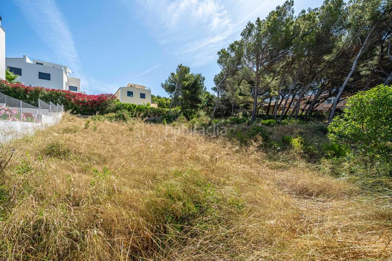 Foto 42443d4c-5cbc-4333-9203-adc77480fa73. Finca rústica a Cala Ratjada Capdepera