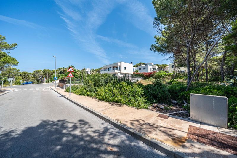 Foto 5d3661fc-76cb-4da4-9f43-4432a65d6bf0. Finca rústica a Cala Ratjada Capdepera