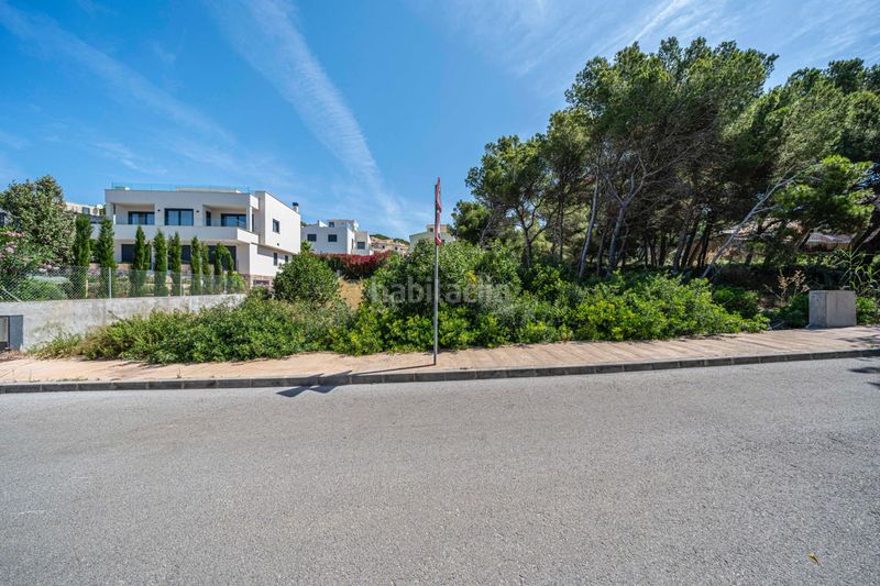 Foto b5733429-c7ff-4dcf-b27a-6b19c4697736. Finca rústica a Cala Ratjada Capdepera
