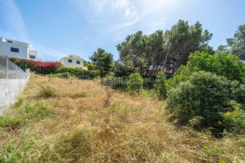 Foto ca84bc76-e3b8-4a74-91fa-9dbc37567956. Finca rústica a Cala Ratjada Capdepera