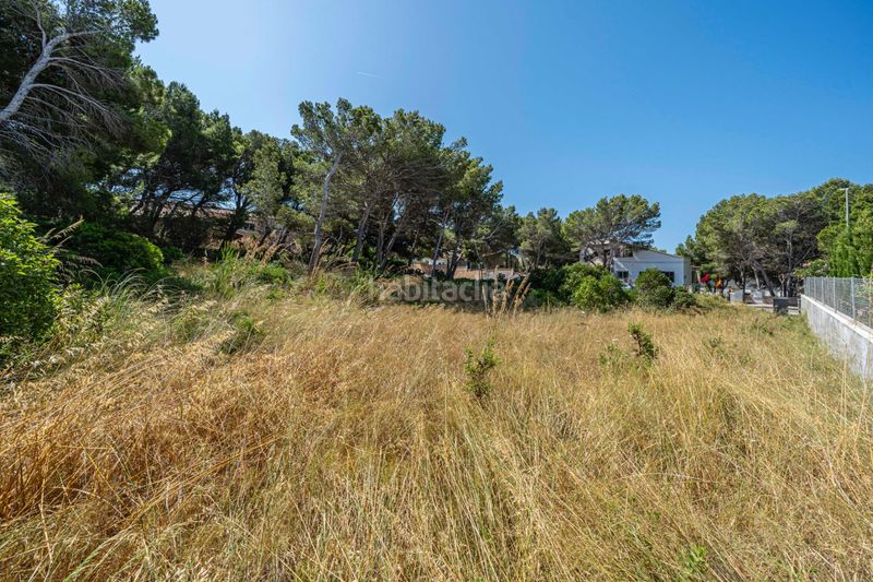 Foto e51892a5-98bb-4f76-9820-438bf4000732. Finca rústica a Cala Ratjada Capdepera