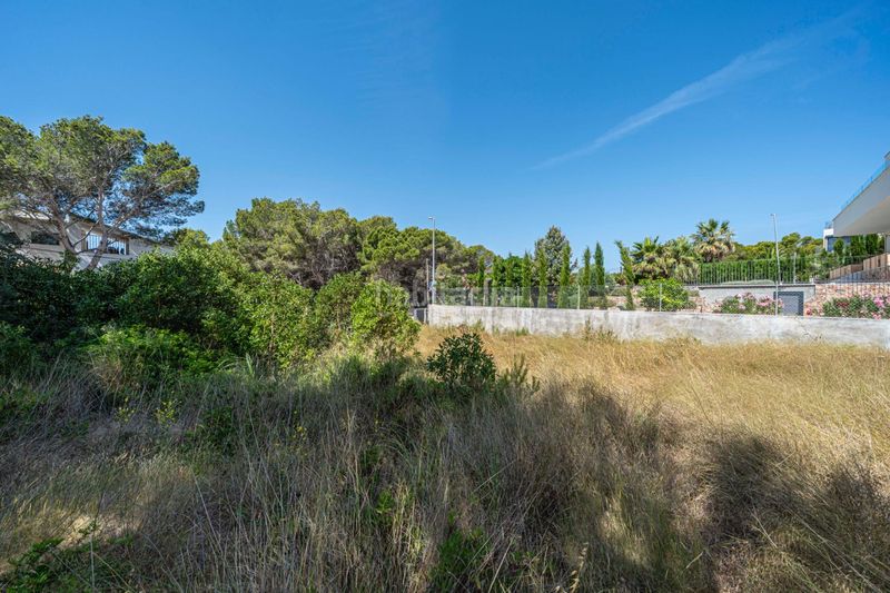 Foto eb397e6a-59ba-4faf-99f5-4c797638eb71. Finca rústica a Cala Ratjada Capdepera