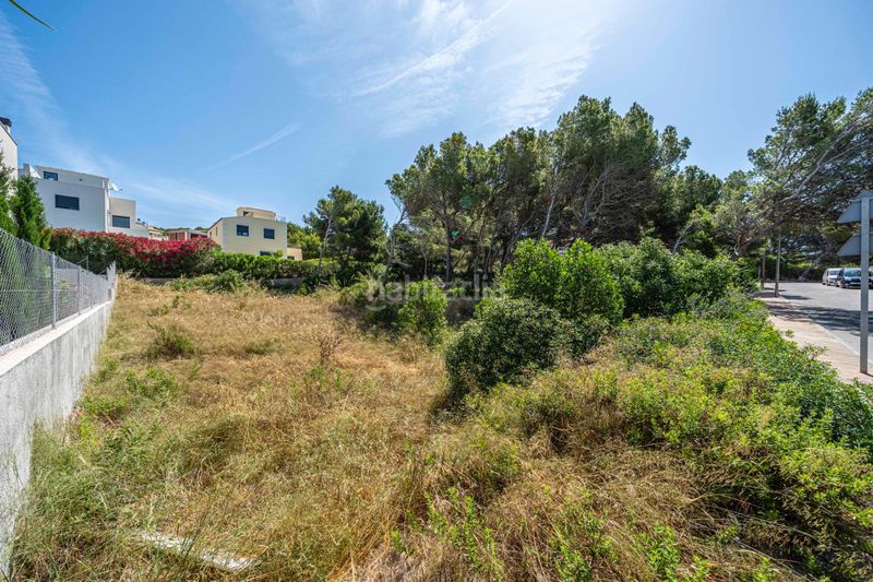 Foto f48890a9-d799-493e-bdf2-9021a2d638a8. Finca rústica a Cala Ratjada Capdepera