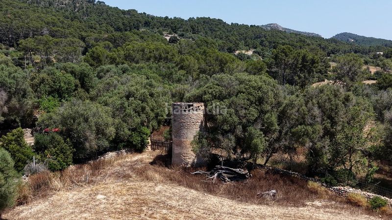 Foto a4bae000-783f-4ea5-94d6-47c88ca0f0ad. Masia a Llucmajor interior Llucmajor