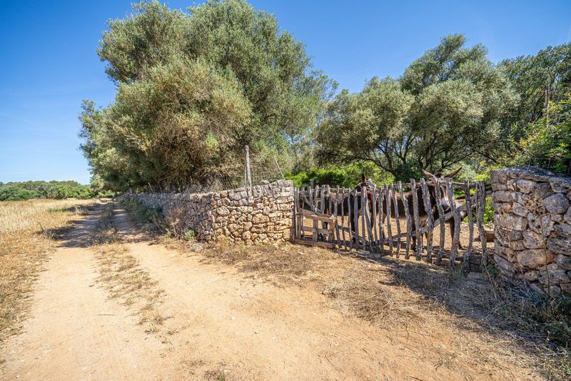Foto 3f70eb47-0911-40db-b908-4330dcb1184e. Finca rústica a Sencelles