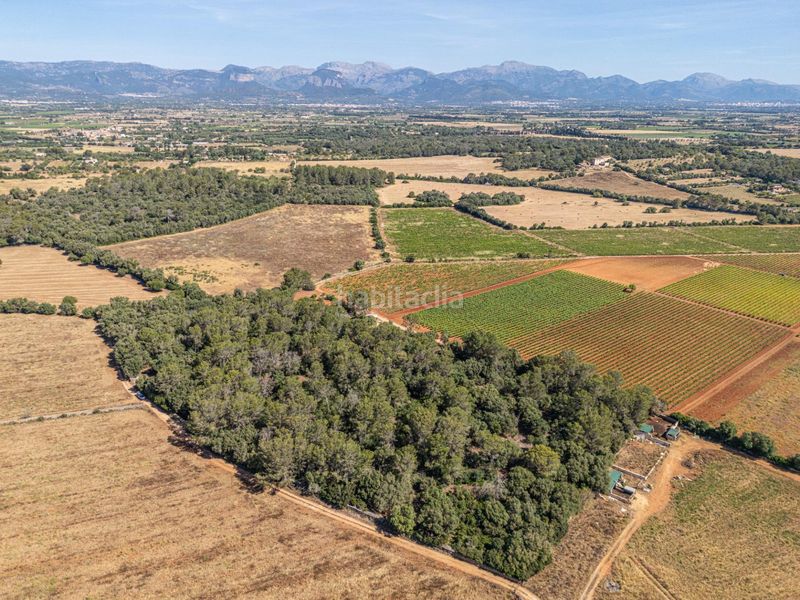 Foto d4e066c0-7bd7-46ae-9930-edc186dbcec3. Finca rústica a Sencelles