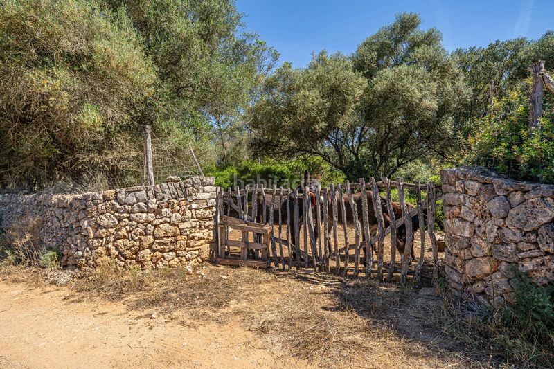 Foto fcb5dbe5-1000-482c-949d-56dd8e4f8666. Finca rústica a Sencelles