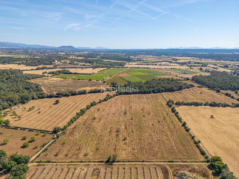 Foto 0612abcb-96f2-4a78-93fa-305ce99959e1. Finca rústica a Sencelles
