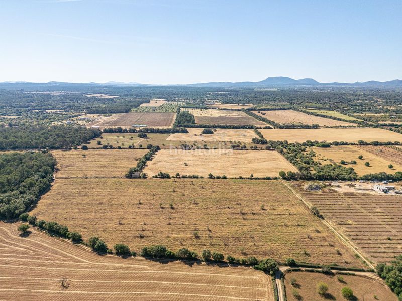 Foto 0ac74525-017c-4025-a59c-e5d978f40934. Finca rústica a Sencelles