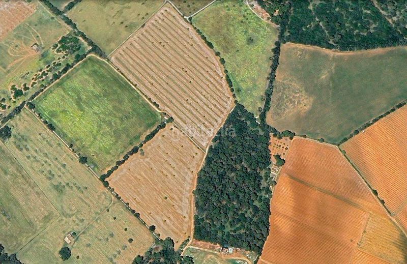 Foto 1760fa07-8510-405e-ba07-bdbf004a7250. Finca rústica a Sencelles