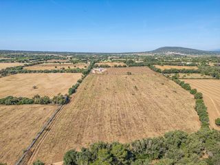 Finca rústica a Sencelles