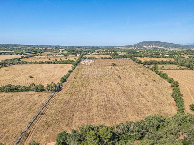 Foto 496dd57c-31c1-43a2-99bd-98c0d43d1bb7. Finca rústica a Sencelles