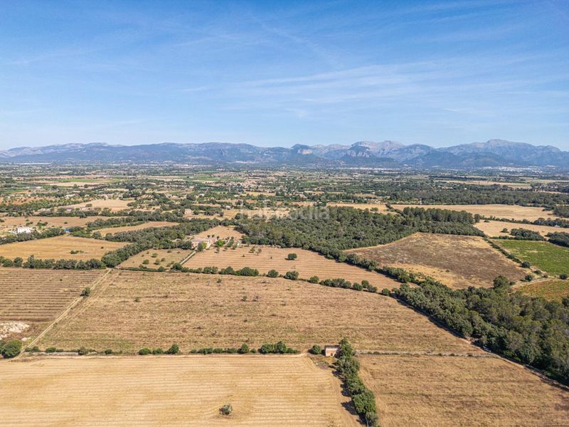 Foto 523dd4e3-bb55-457b-befe-ab03eb56c2aa. Finca rústica a Sencelles