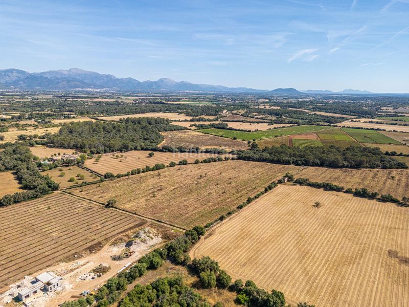 Foto 55694d16-aed2-41b0-9a0b-8026fe573400. Finca rústica a Sencelles