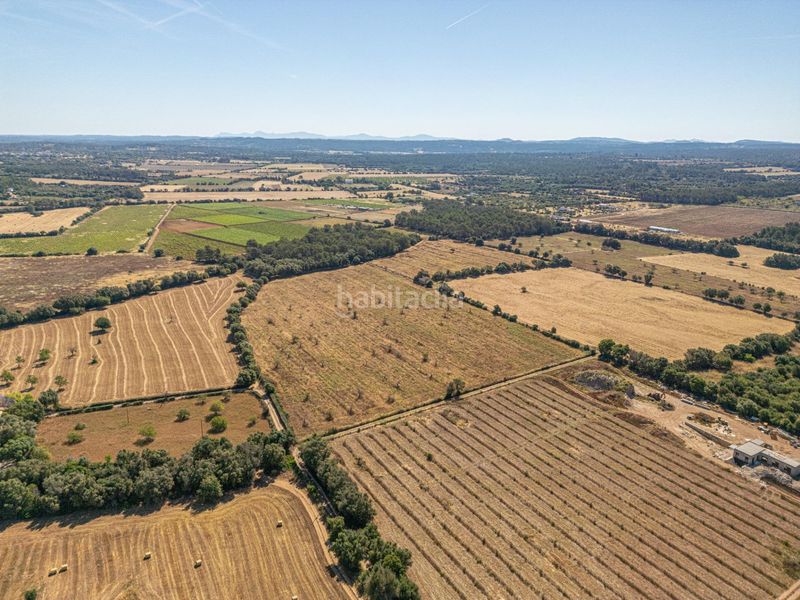 Foto 57509c85-49f5-4a89-887e-c0599196b7fa. Finca rústica a Sencelles