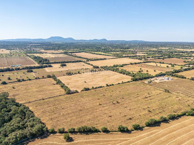 Foto 6060c0ec-948a-4538-867d-2ab5e7caad35. Finca rústica a Sencelles