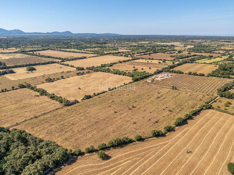 Foto a51cea70-e267-4fad-b9b7-c1a528fd573d. Finca rústica a Sencelles