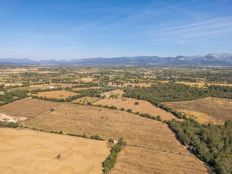 Foto b05355d8-c987-48d2-a5ed-01398e70c6f3. Finca rústica a Sencelles